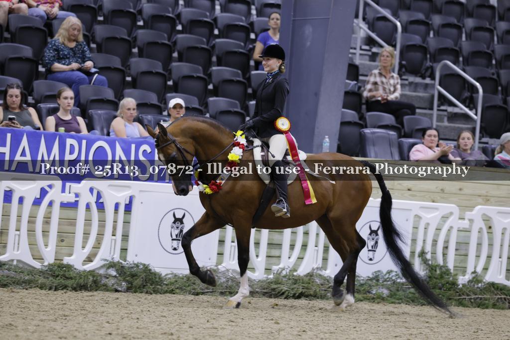 Proof 25R13_07872