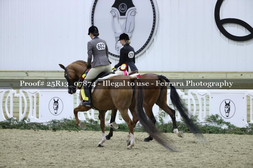 Proof 25R13_07874