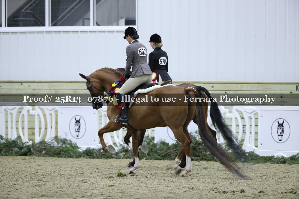 Proof 25R13_07876