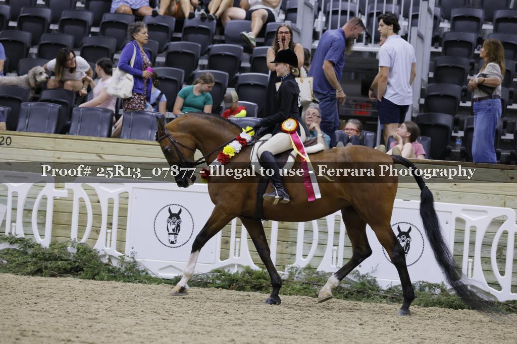Proof 25R13_07877