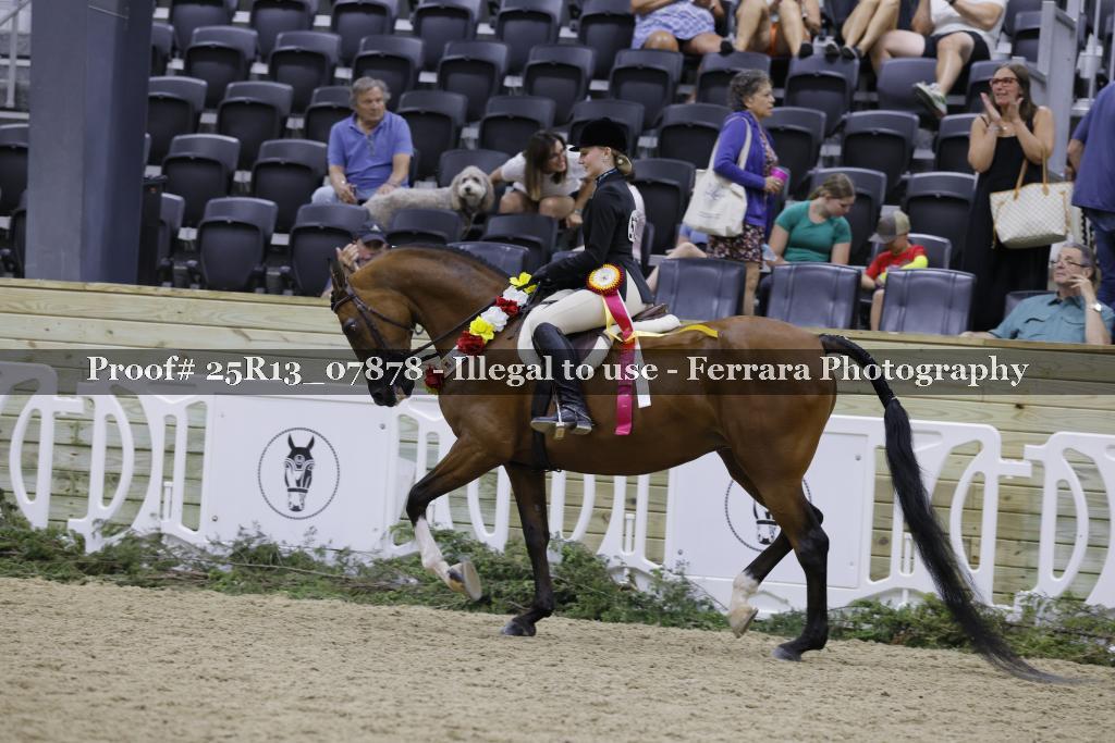 Proof 25R13_07878