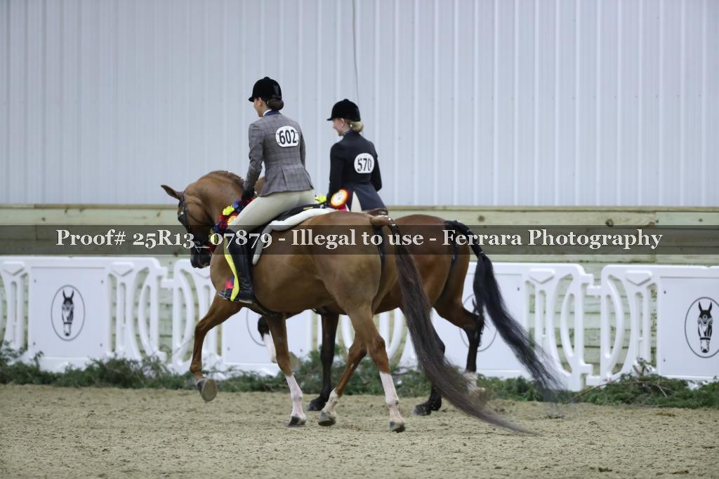 Proof 25R13_07879