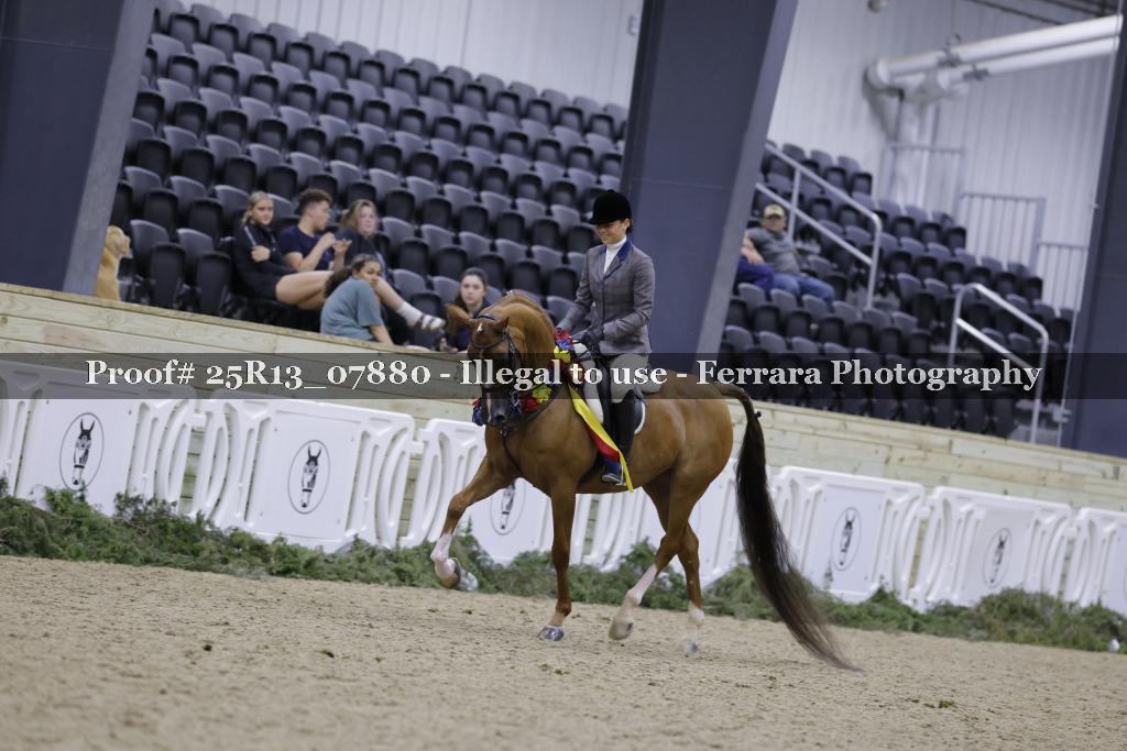 Proof 25R13_07880