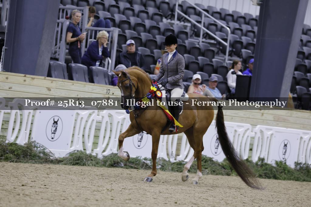Proof 25R13_07881
