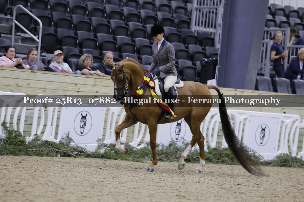Proof 25R13_07882
