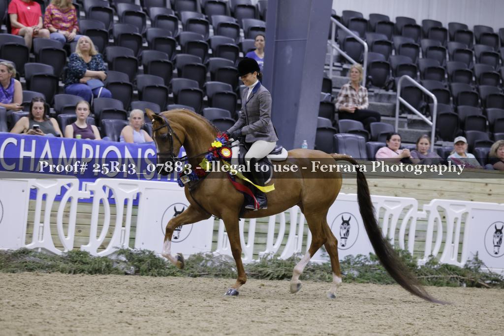 Proof 25R13_07883