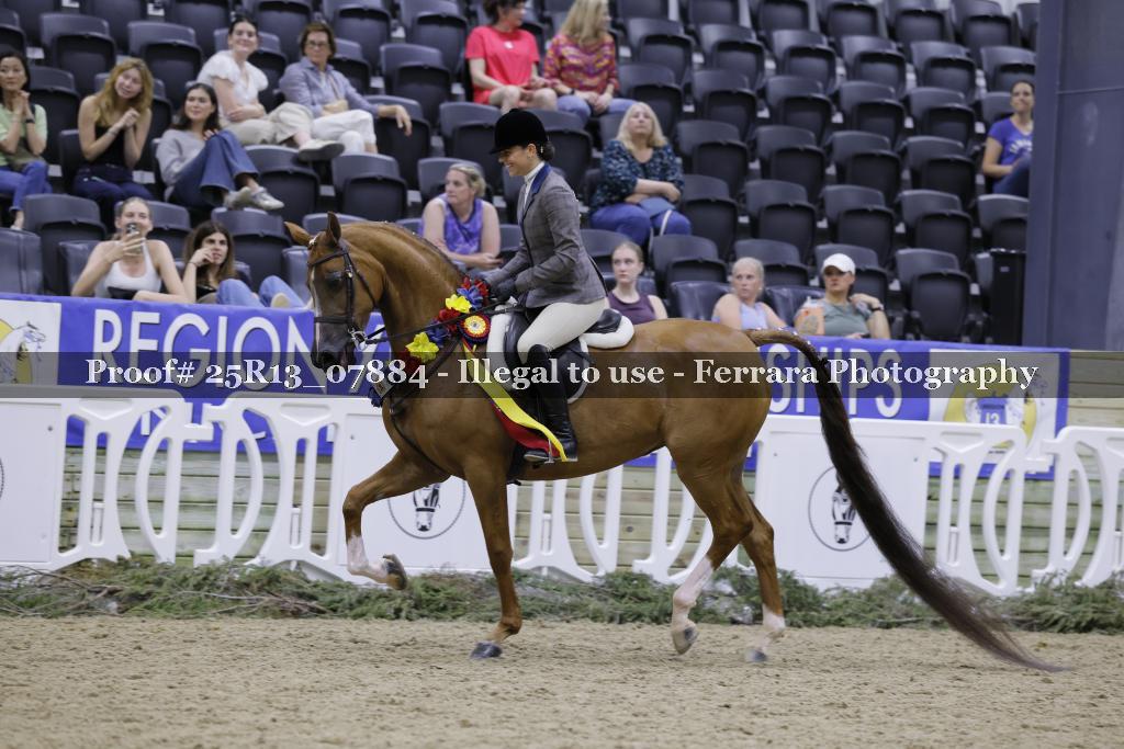 Proof 25R13_07884