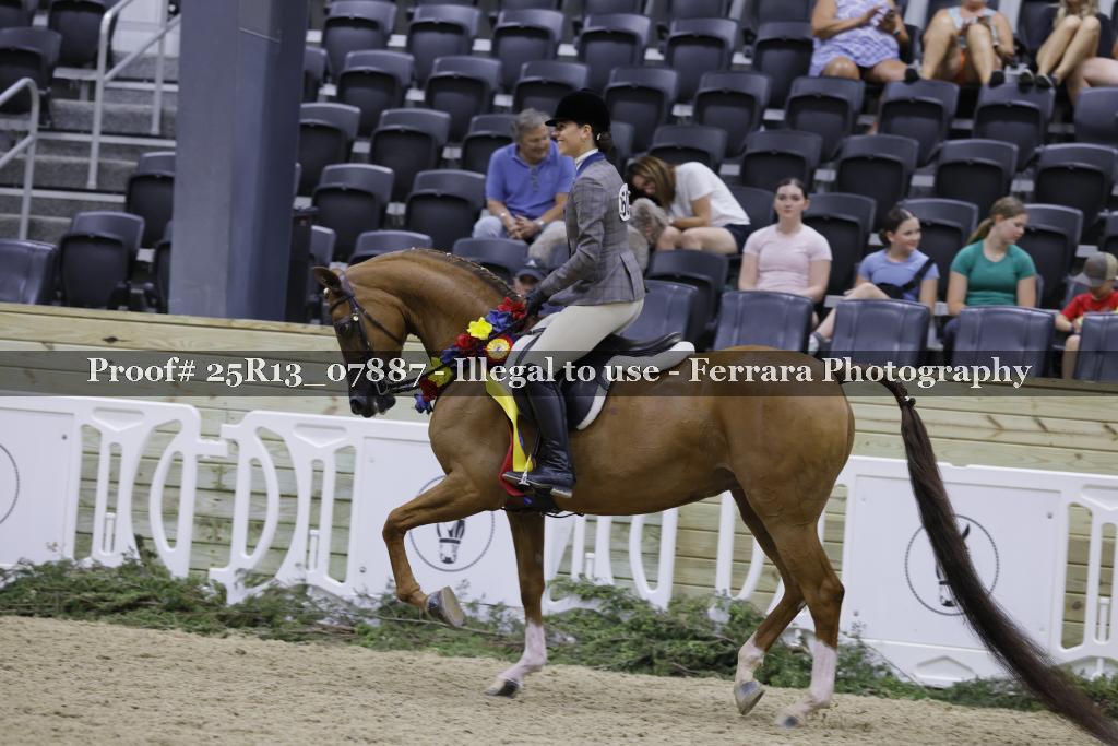 Proof 25R13_07887