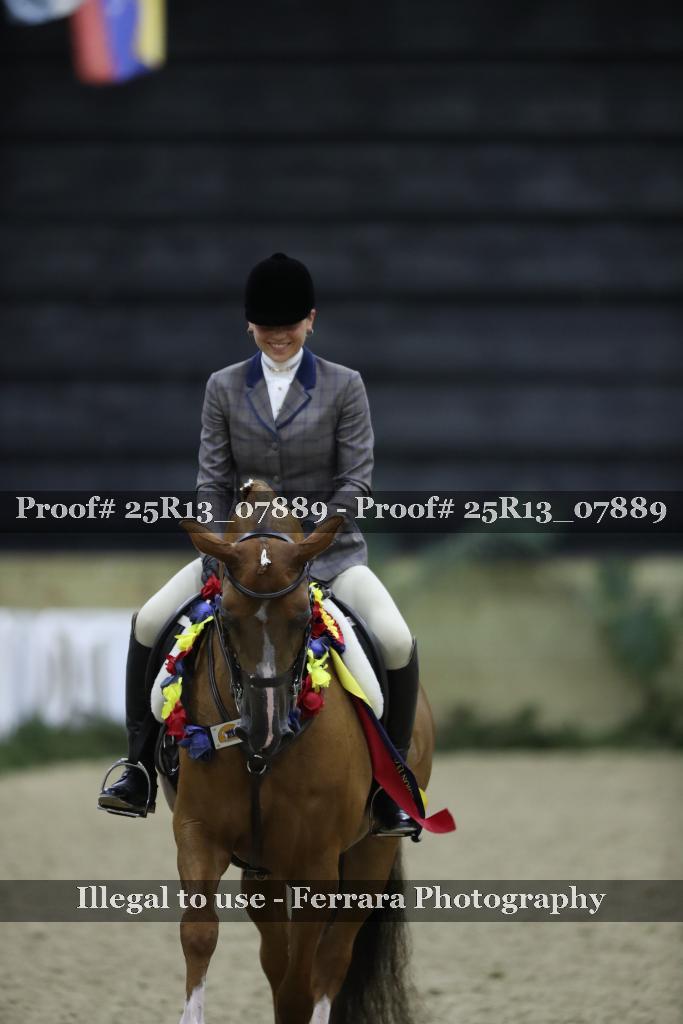 Proof 25R13_07889