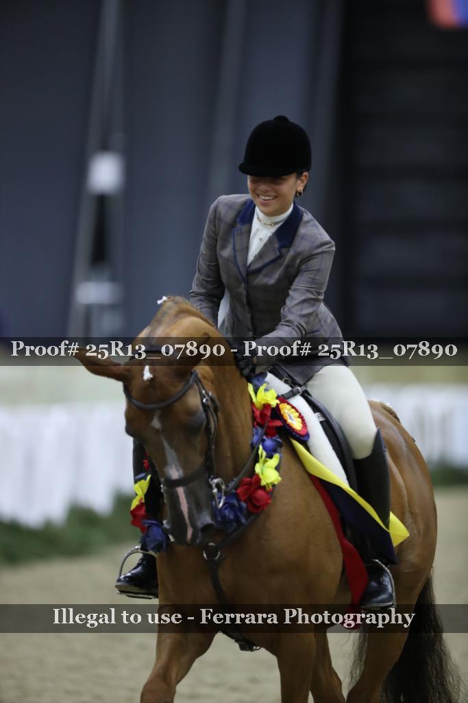 Proof 25R13_07890