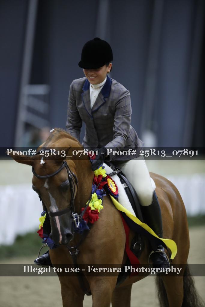 Proof 25R13_07891