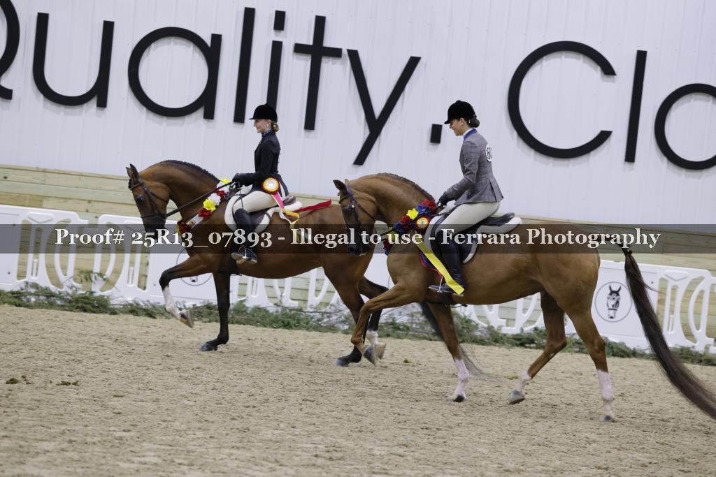 Proof 25R13_07893