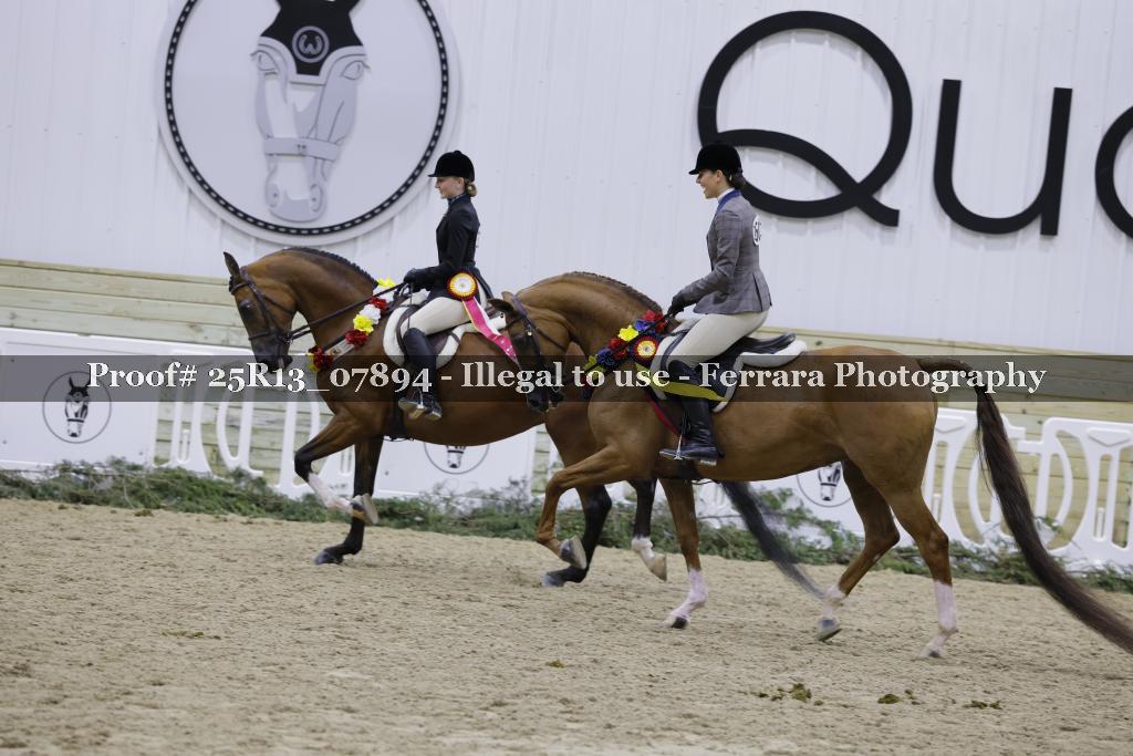 Proof 25R13_07894