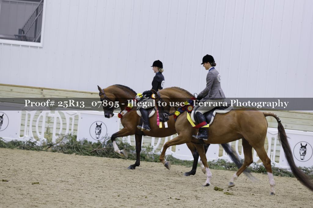 Proof 25R13_07895