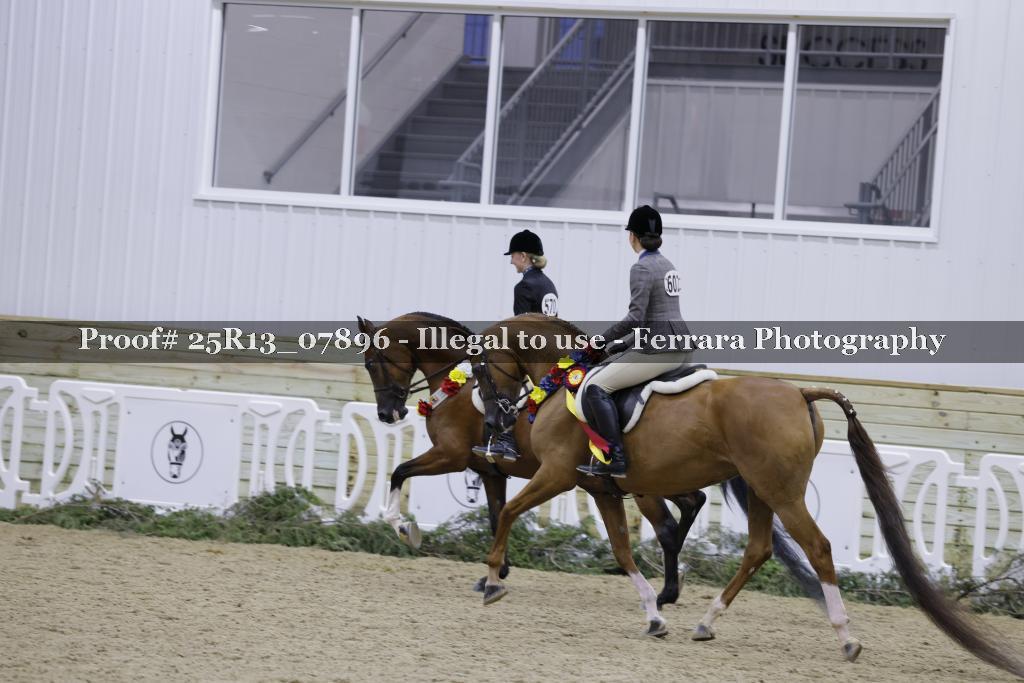 Proof 25R13_07896