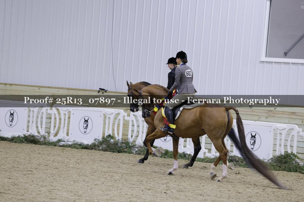 Proof 25R13_07897