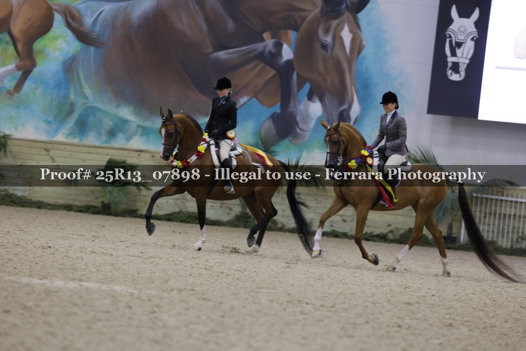 Proof 25R13_07898