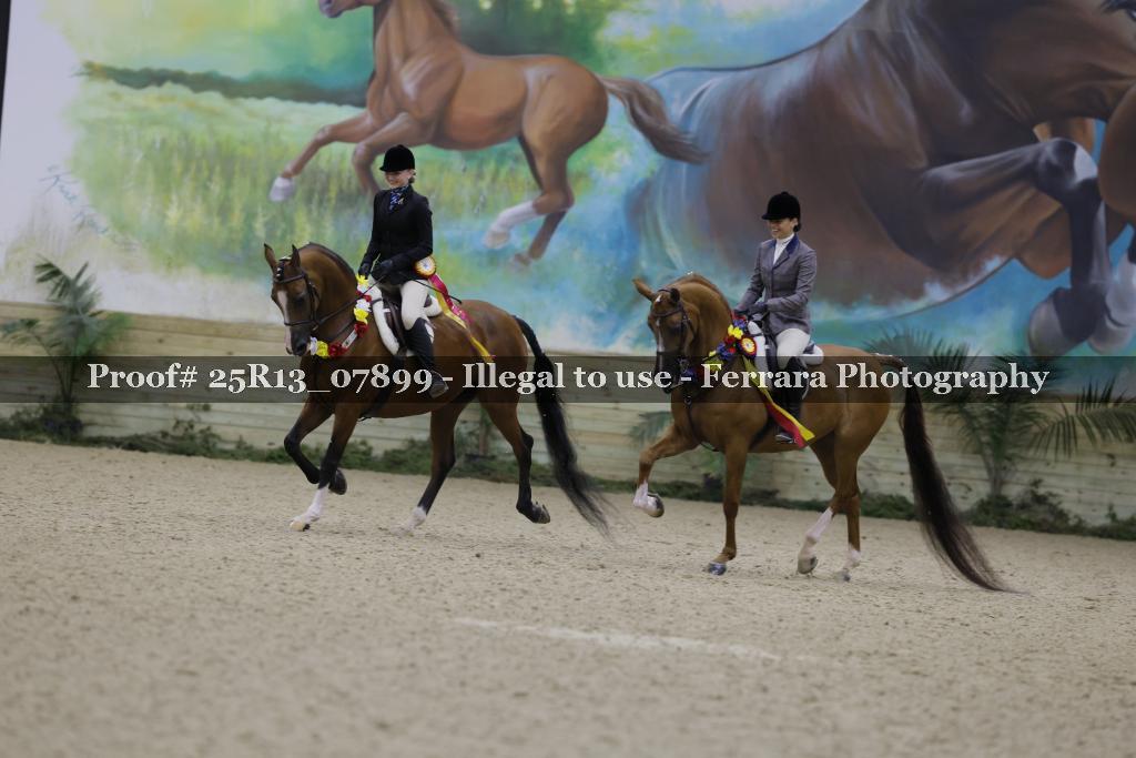 Proof 25R13_07899