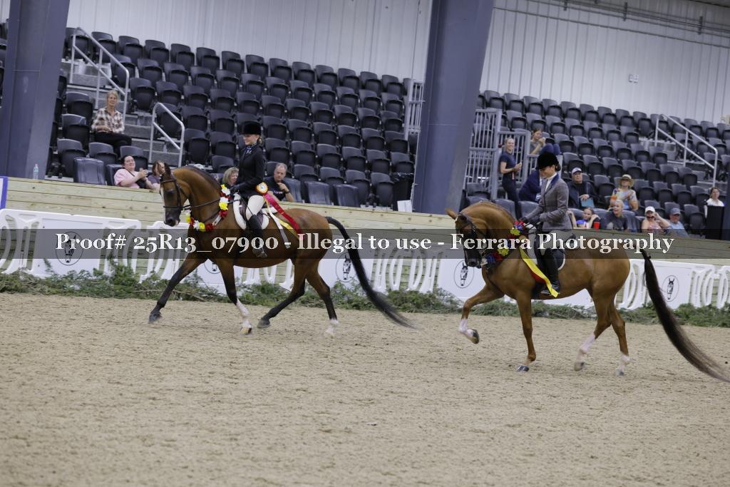 Proof 25R13_07900
