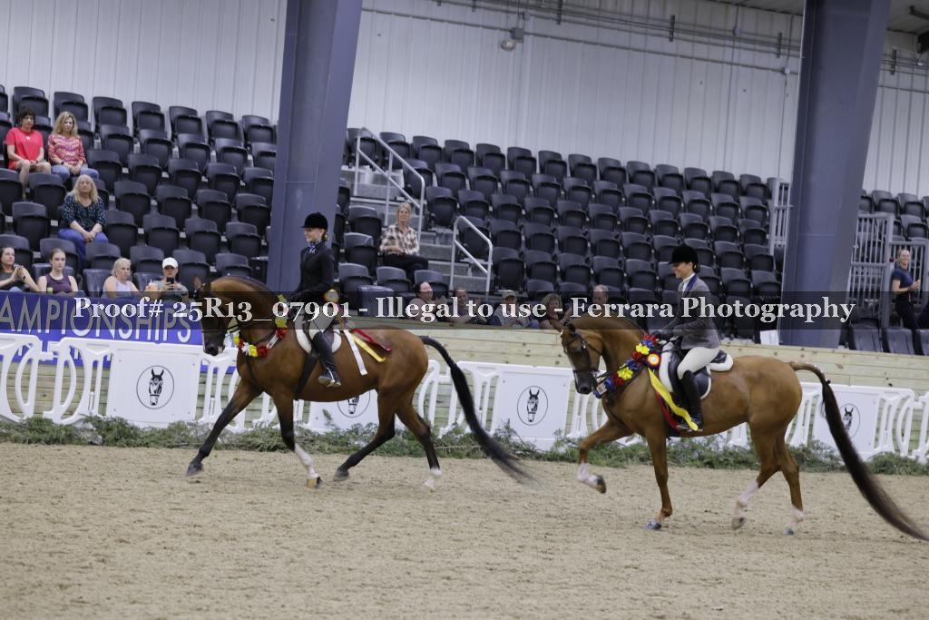 Proof 25R13_07901