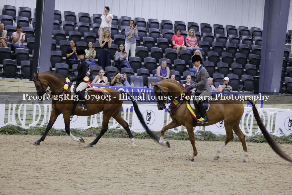 Proof 25R13_07903