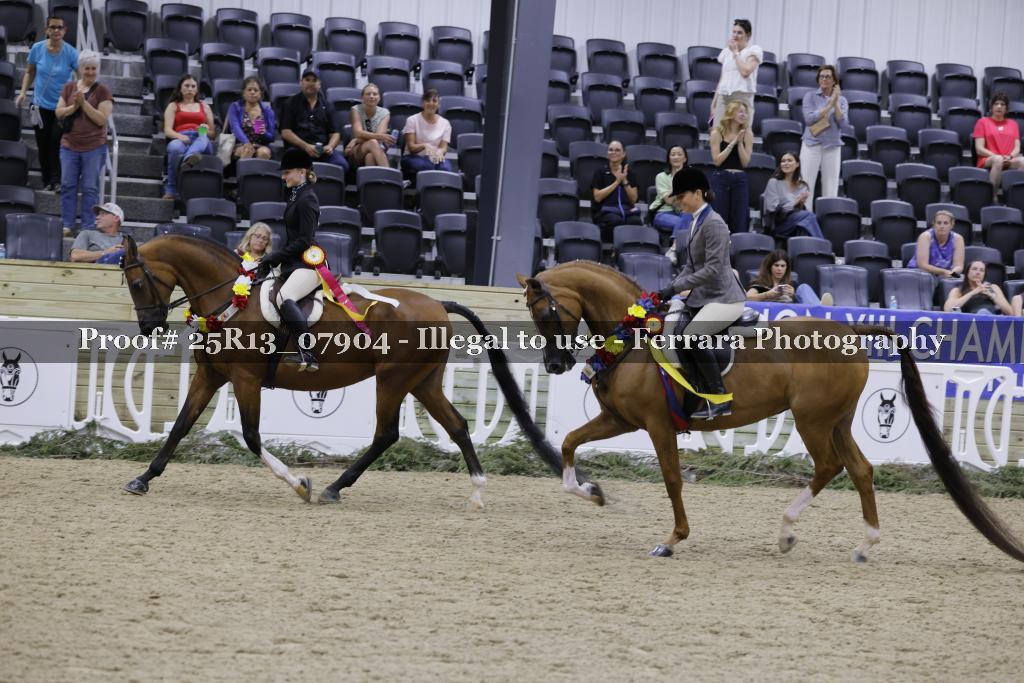 Proof 25R13_07904