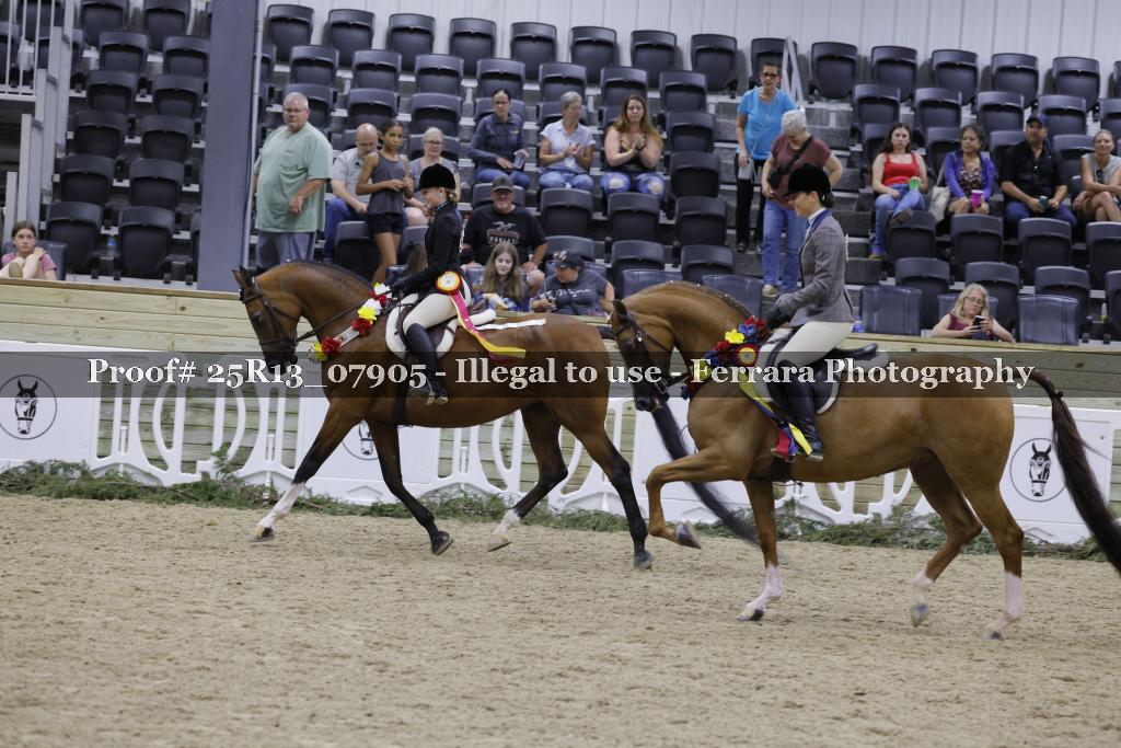 Proof 25R13_07905
