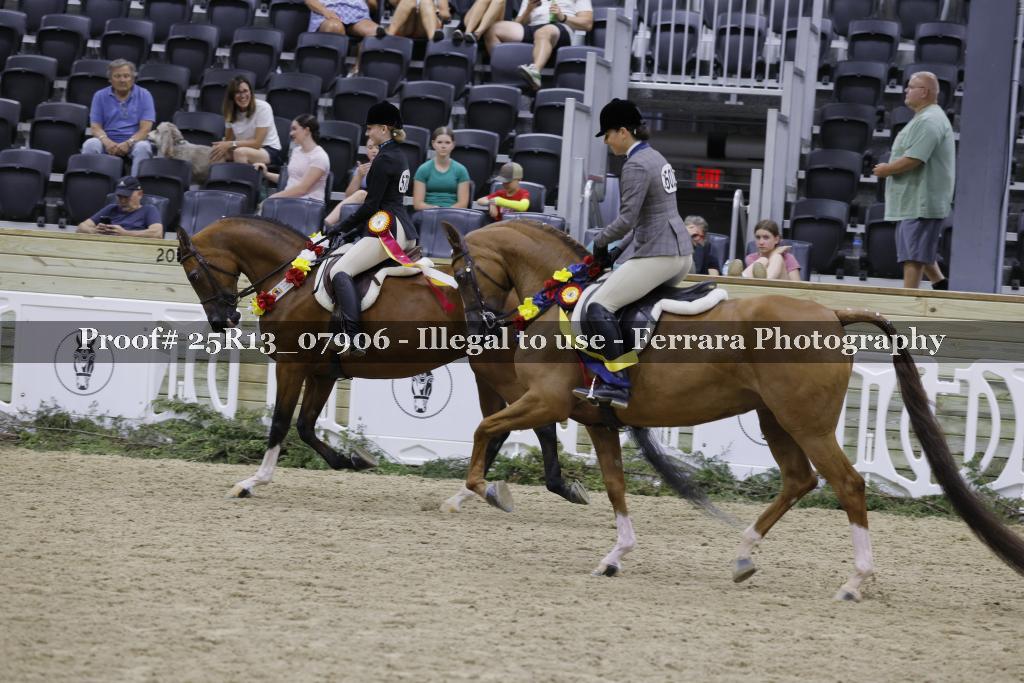 Proof 25R13_07906