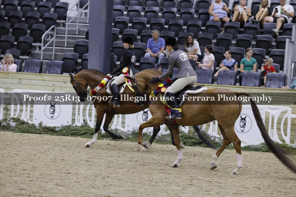 Proof 25R13_07907