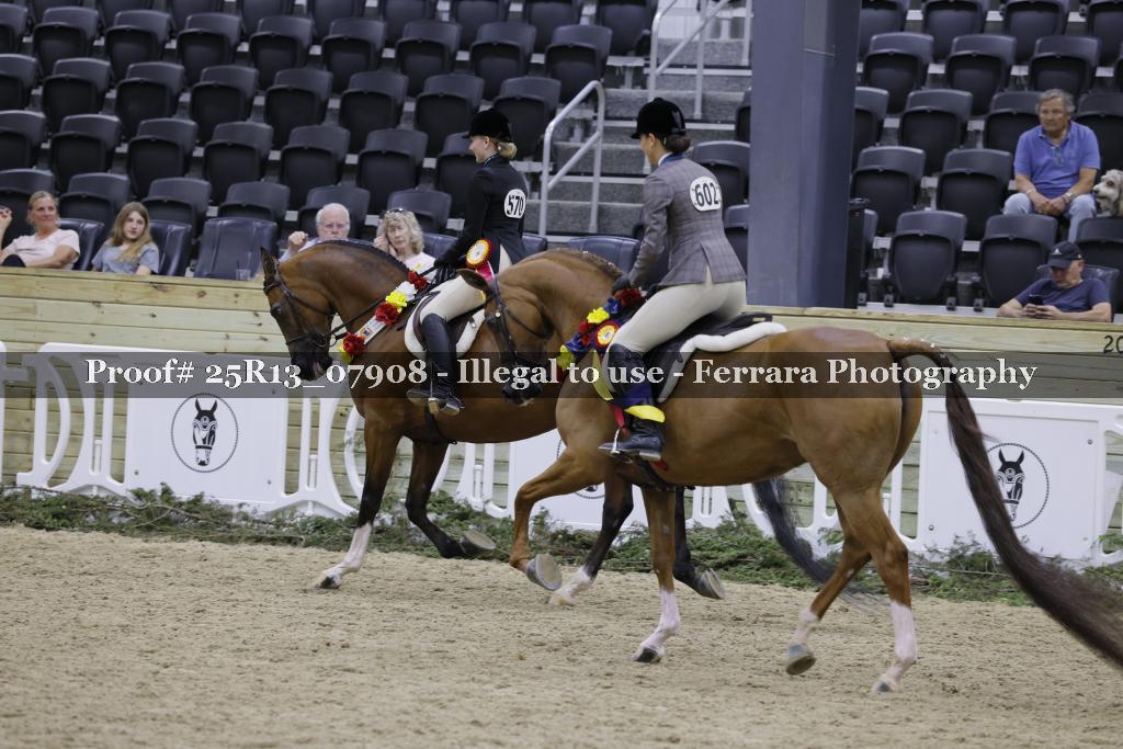 Proof 25R13_07908