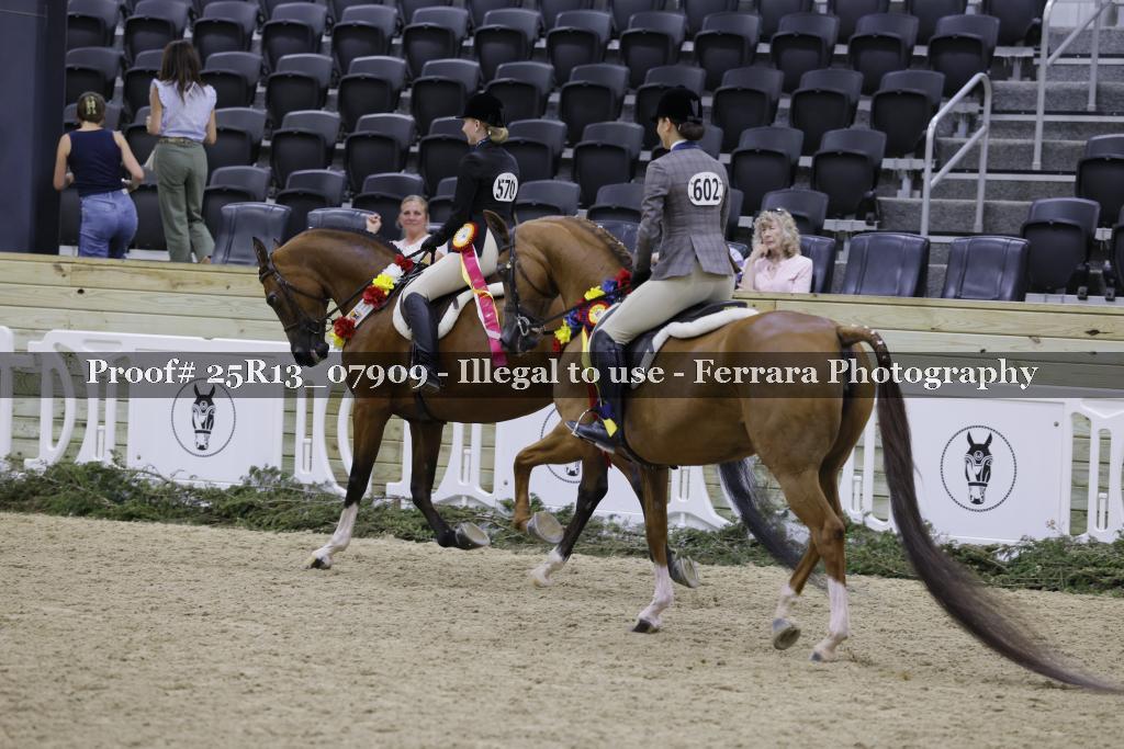 Proof 25R13_07909