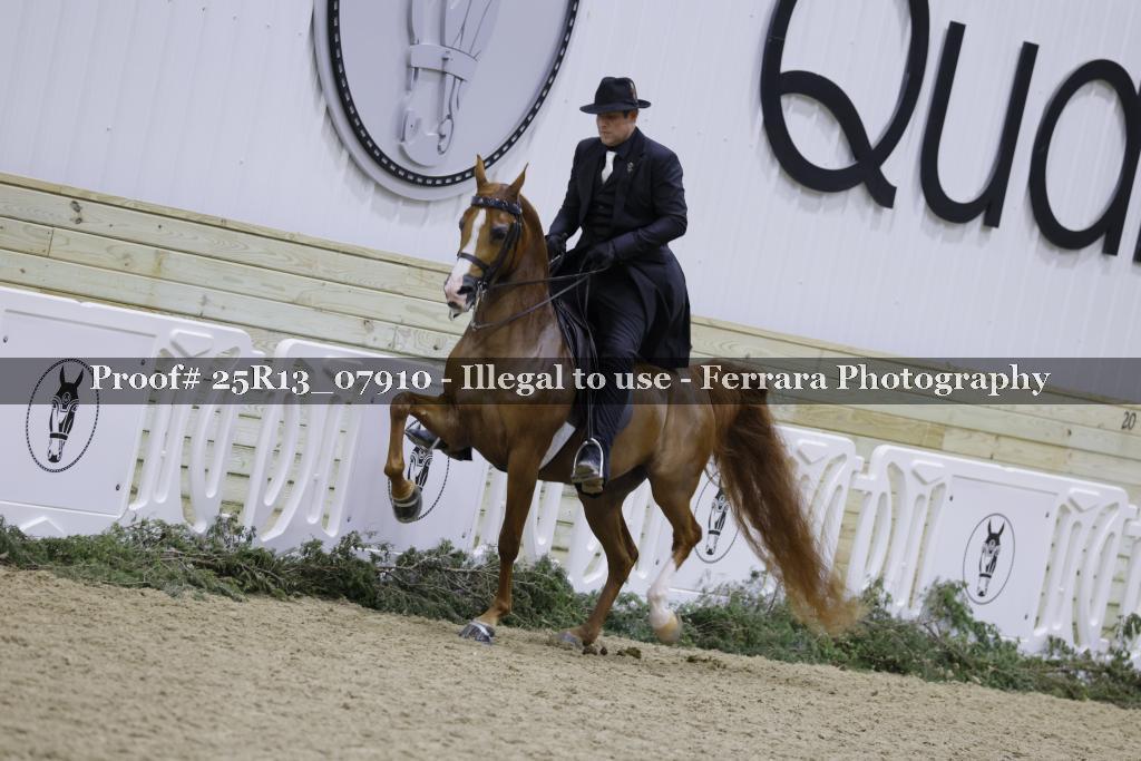 Proof 25R13_07910