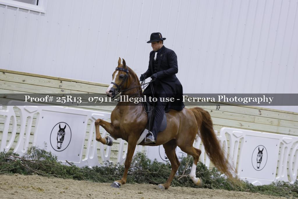 Proof 25R13_07911