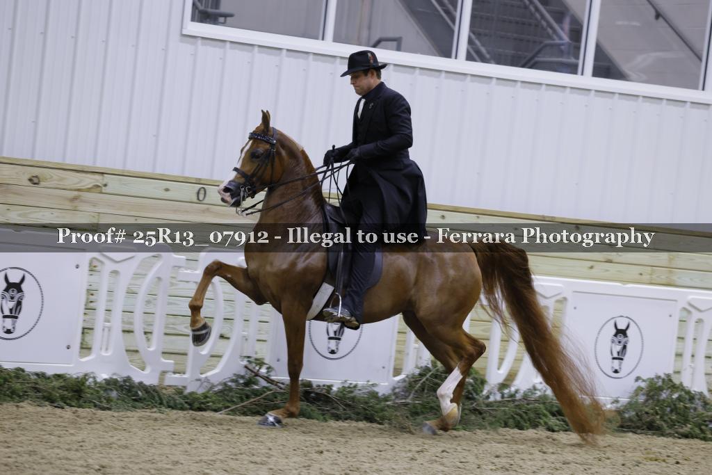 Proof 25R13_07912