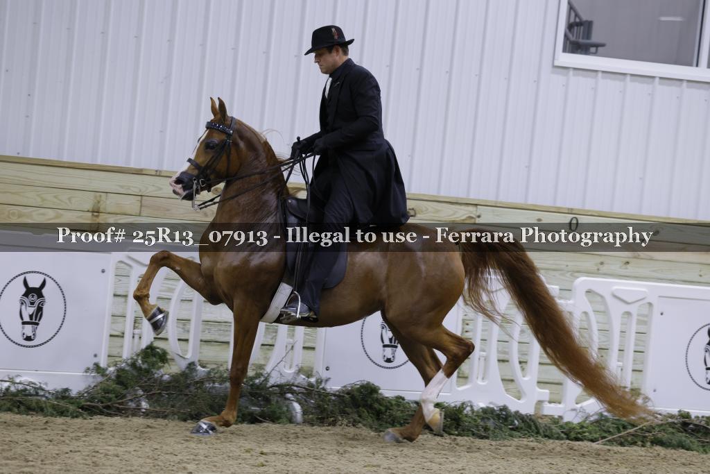 Proof 25R13_07913