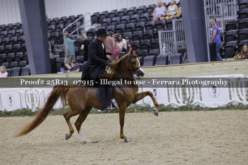 Proof 25R13_07915