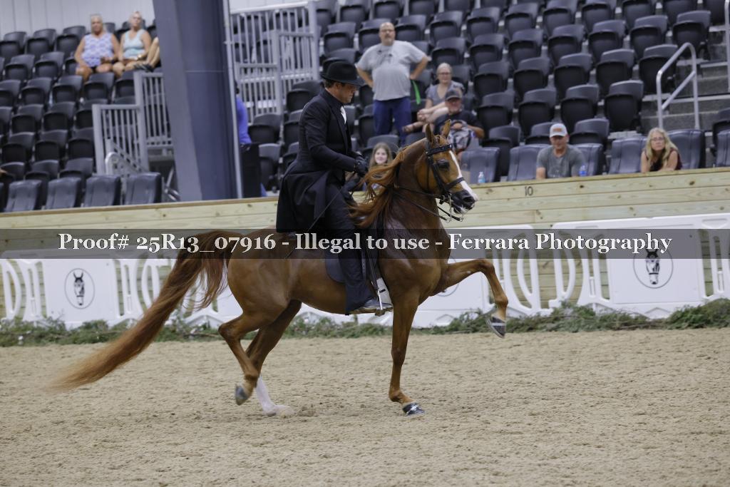 Proof 25R13_07916