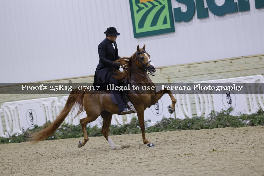 Proof 25R13_07917