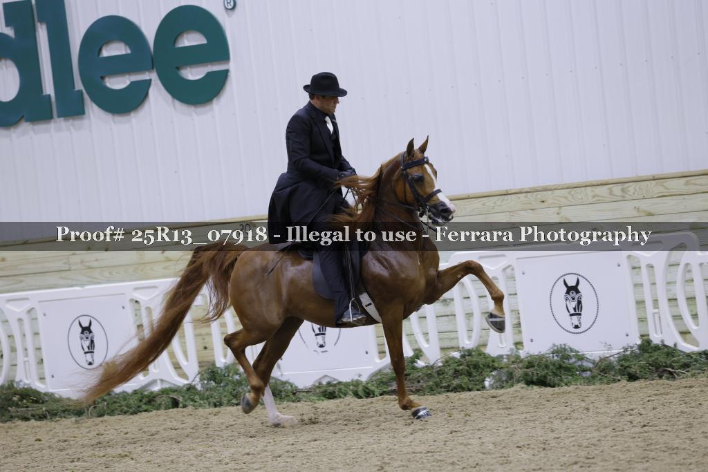Proof 25R13_07918