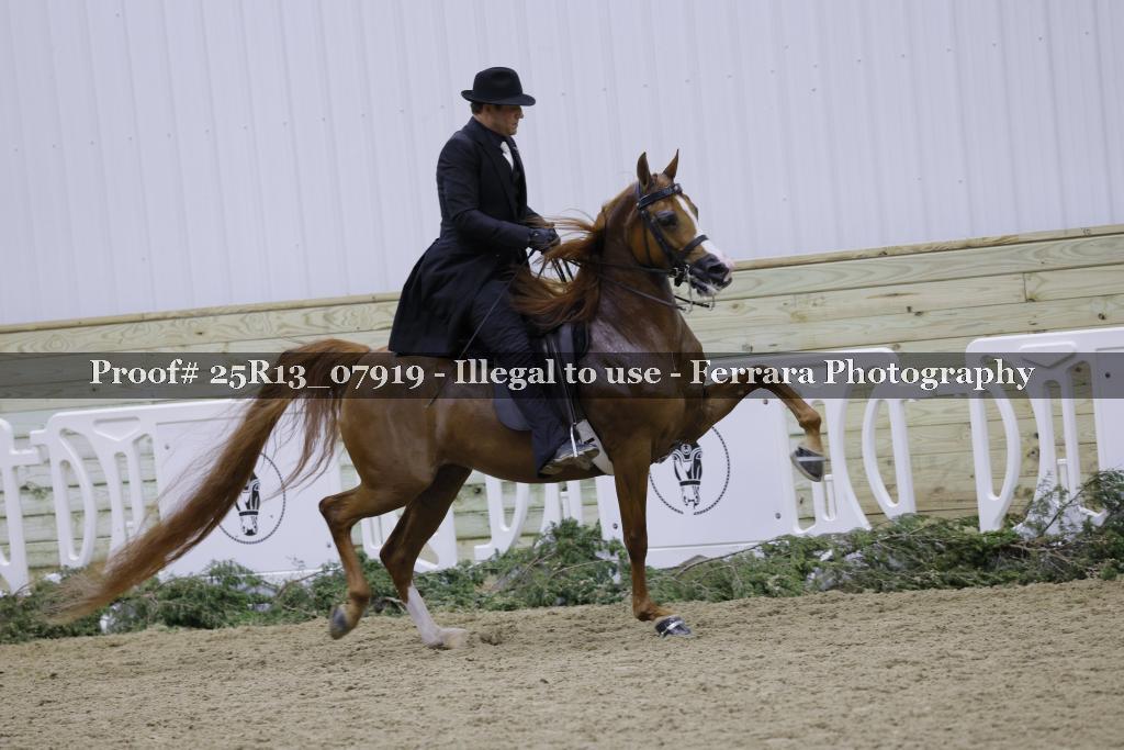 Proof 25R13_07919