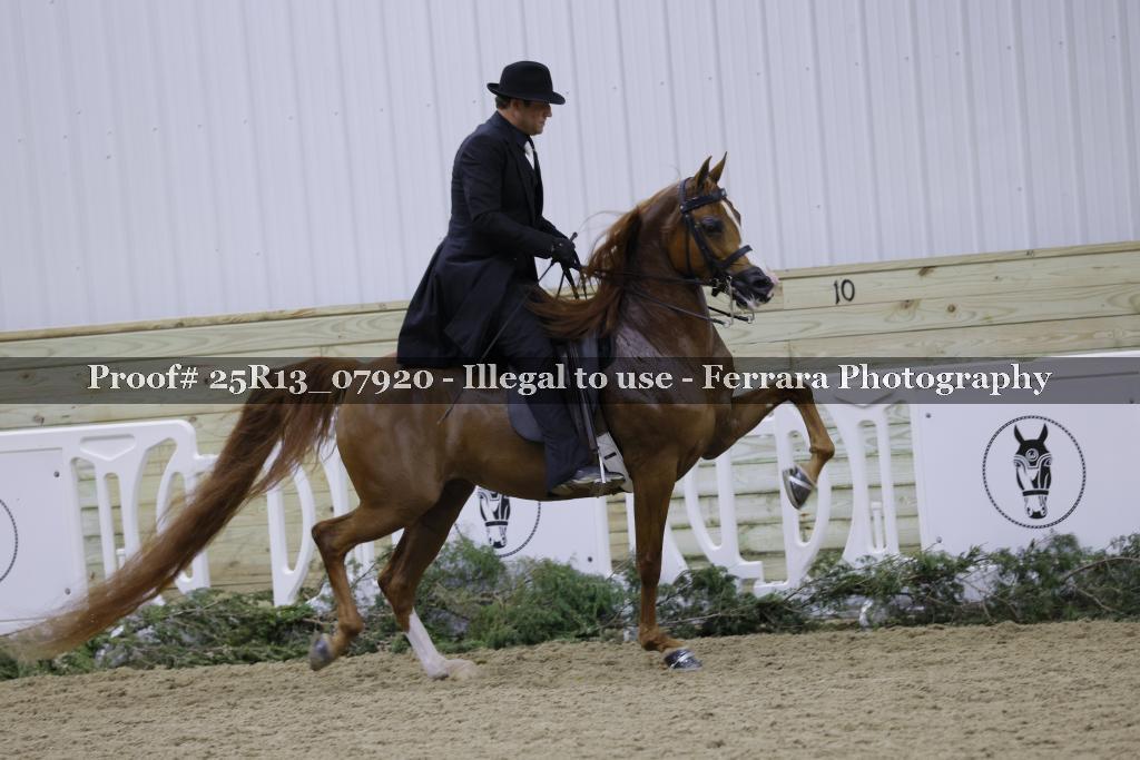 Proof 25R13_07920