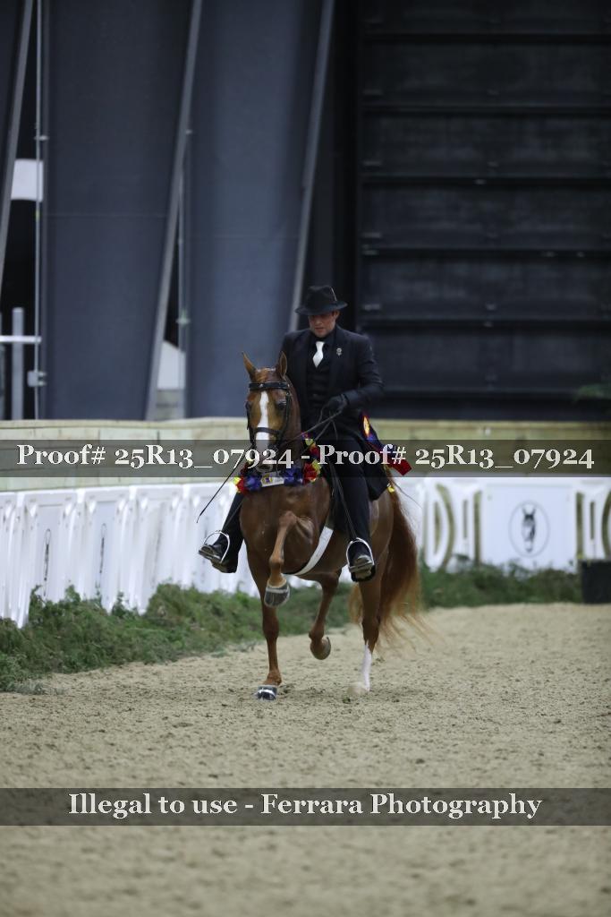 Proof 25R13_07924