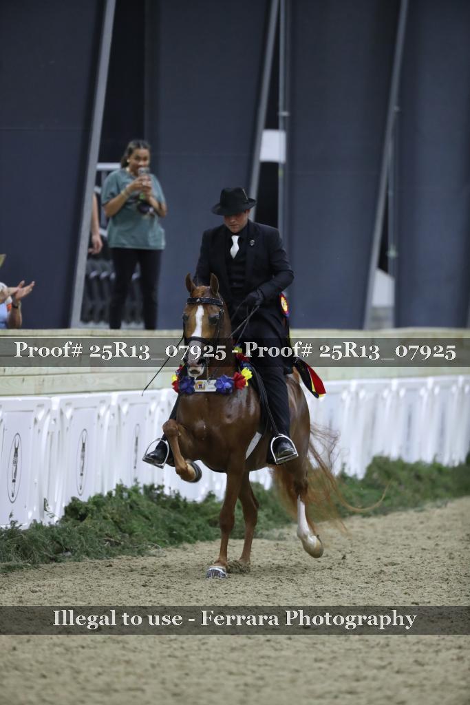 Proof 25R13_07925
