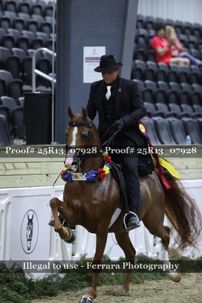 Proof 25R13_07928