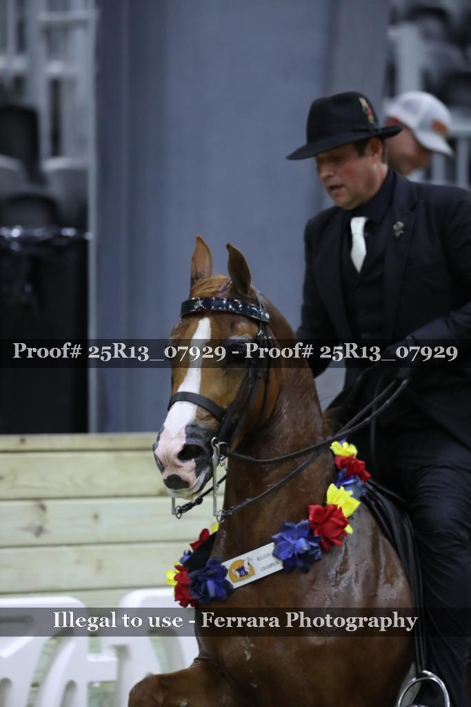 Proof 25R13_07929