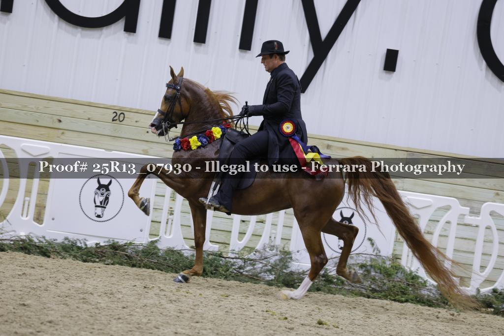Proof 25R13_07930