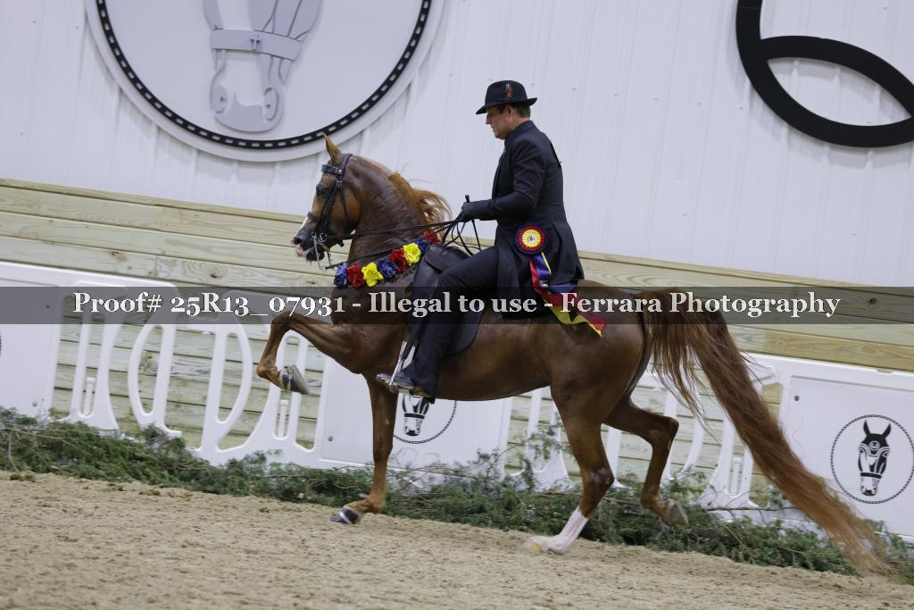 Proof 25R13_07931