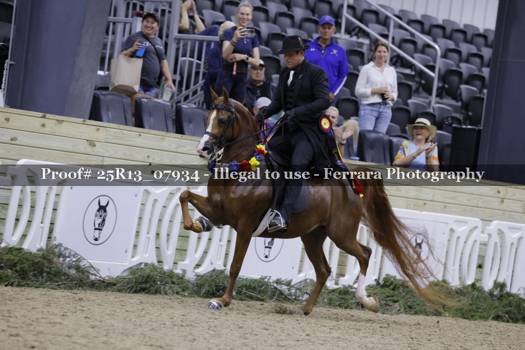 Proof 25R13_07934