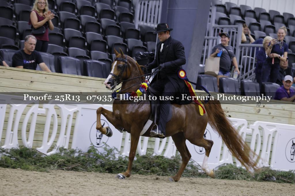 Proof 25R13_07935
