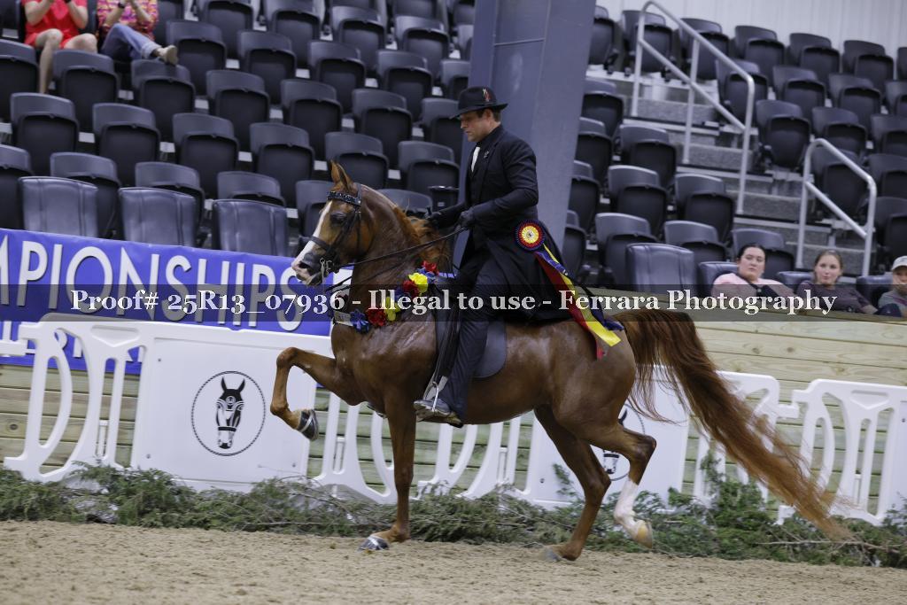 Proof 25R13_07936